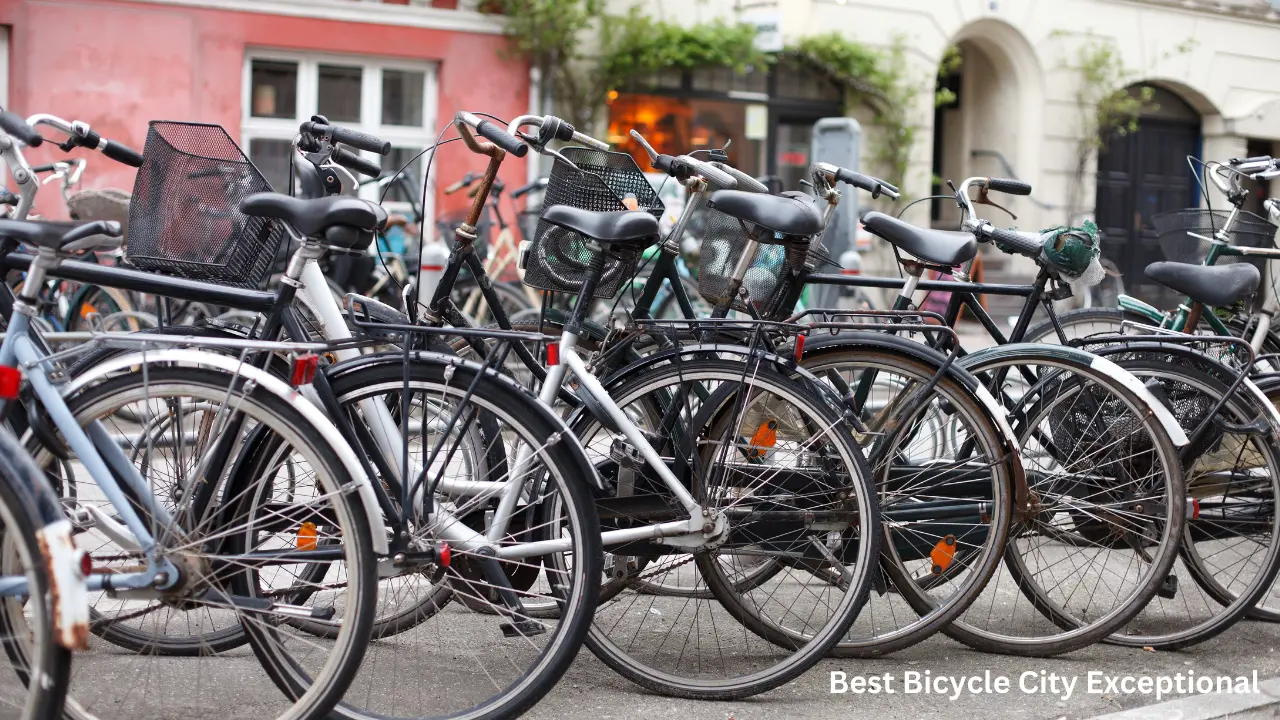 What Makes the World's Best Bicycle City Exceptional? 2 What Makes the World's Best Bicycle City Exceptional