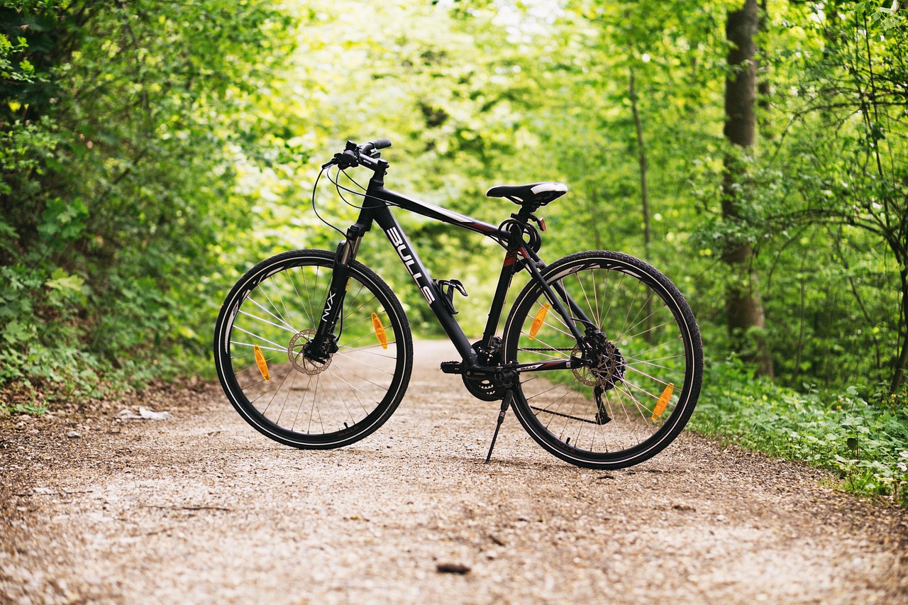 bicycle, bike, forest, path, sports, outdoors, dirt road, mountain bike, wheels, bicycle wheels, nature, parked, park, woods