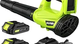 Read more about the article 10 Best Cordless Leaf Blower for Beginners Review