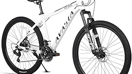 You are currently viewing Top 10 Best Bicycle for Long-distance Touring Review