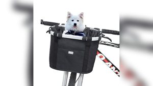 Read more about the article Best Bicycle Carrier for Dogs 2026: Top Picks for Safe Rides