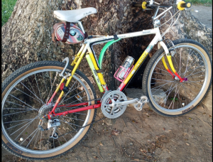 Read more about the article Who Makes the Best Bicycle Inner Tubes? A Helpful Guide