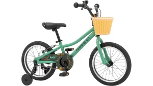 Read more about the article Retrospec Koda Plus Kids Bike – Expert Review