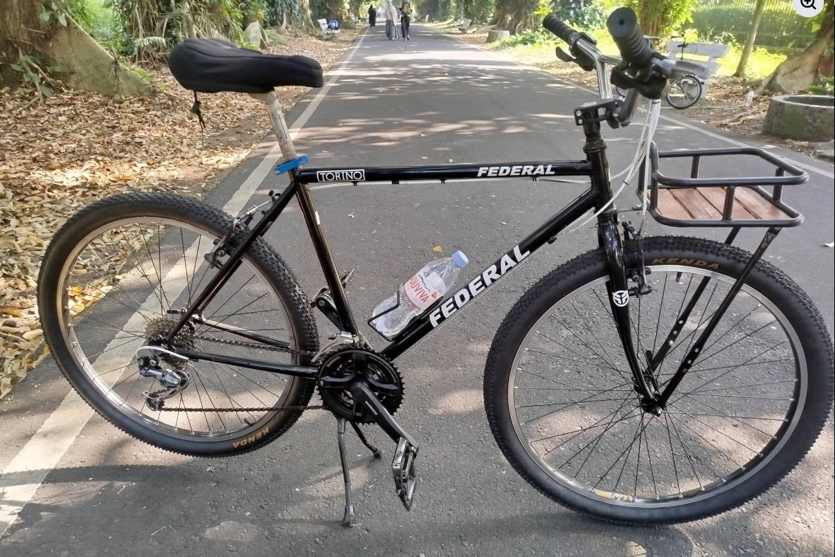 A 100 kg Bicycle and Rider Move Up: The Physics Formula Explained